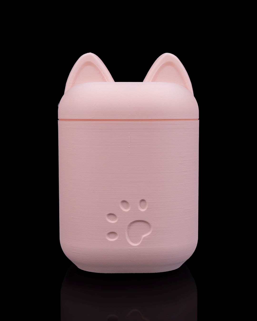 Saubere Katze Kit