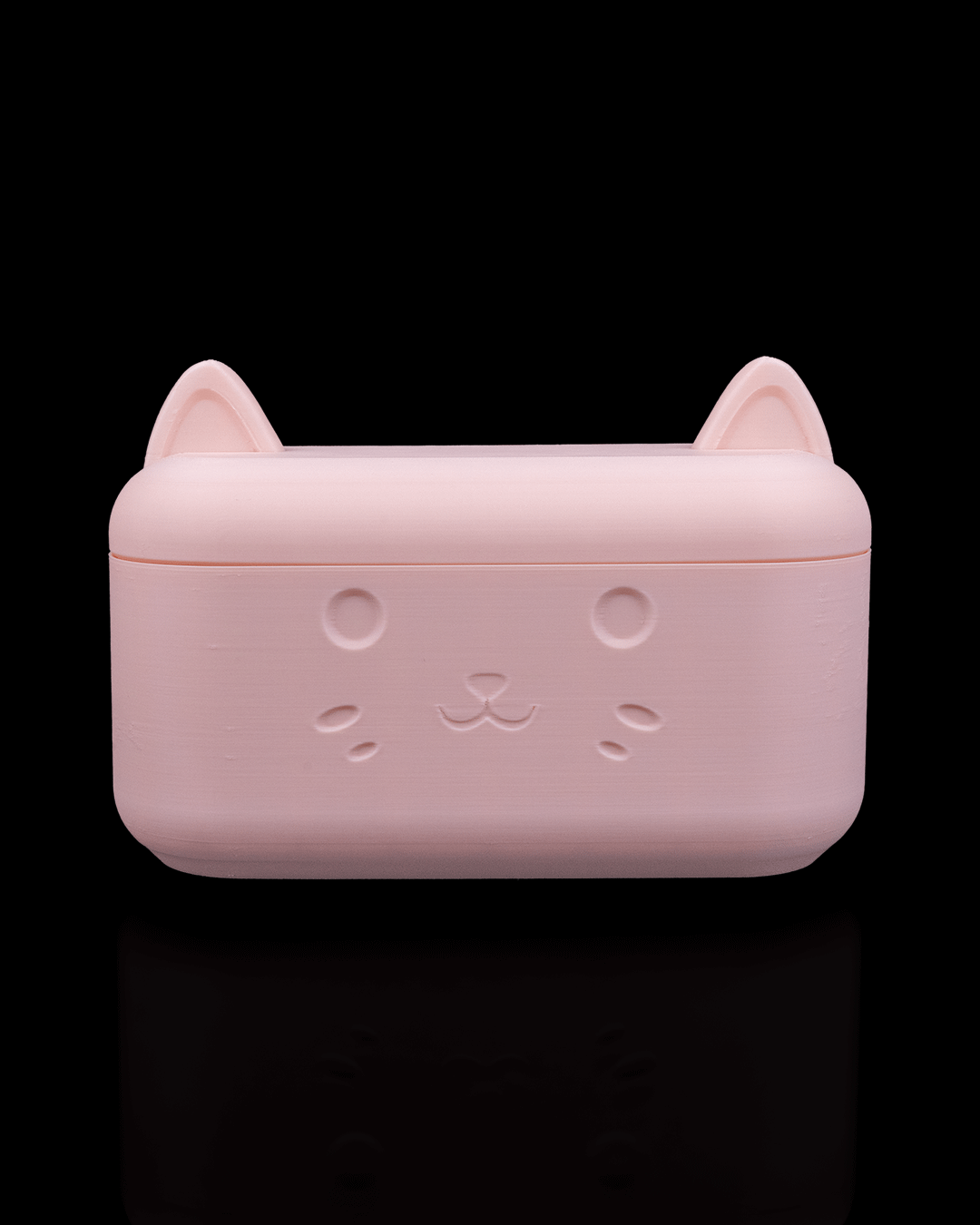 Saubere Katze Kit