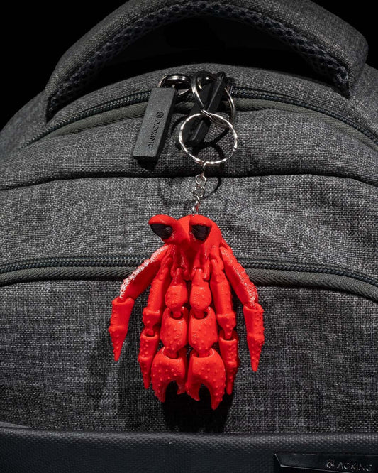 Einsiedlerkrebs Schlüssel / Taschenanhänger