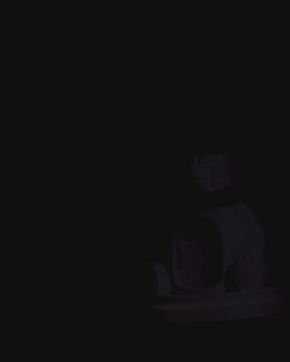 Polarbär (LED DIY)